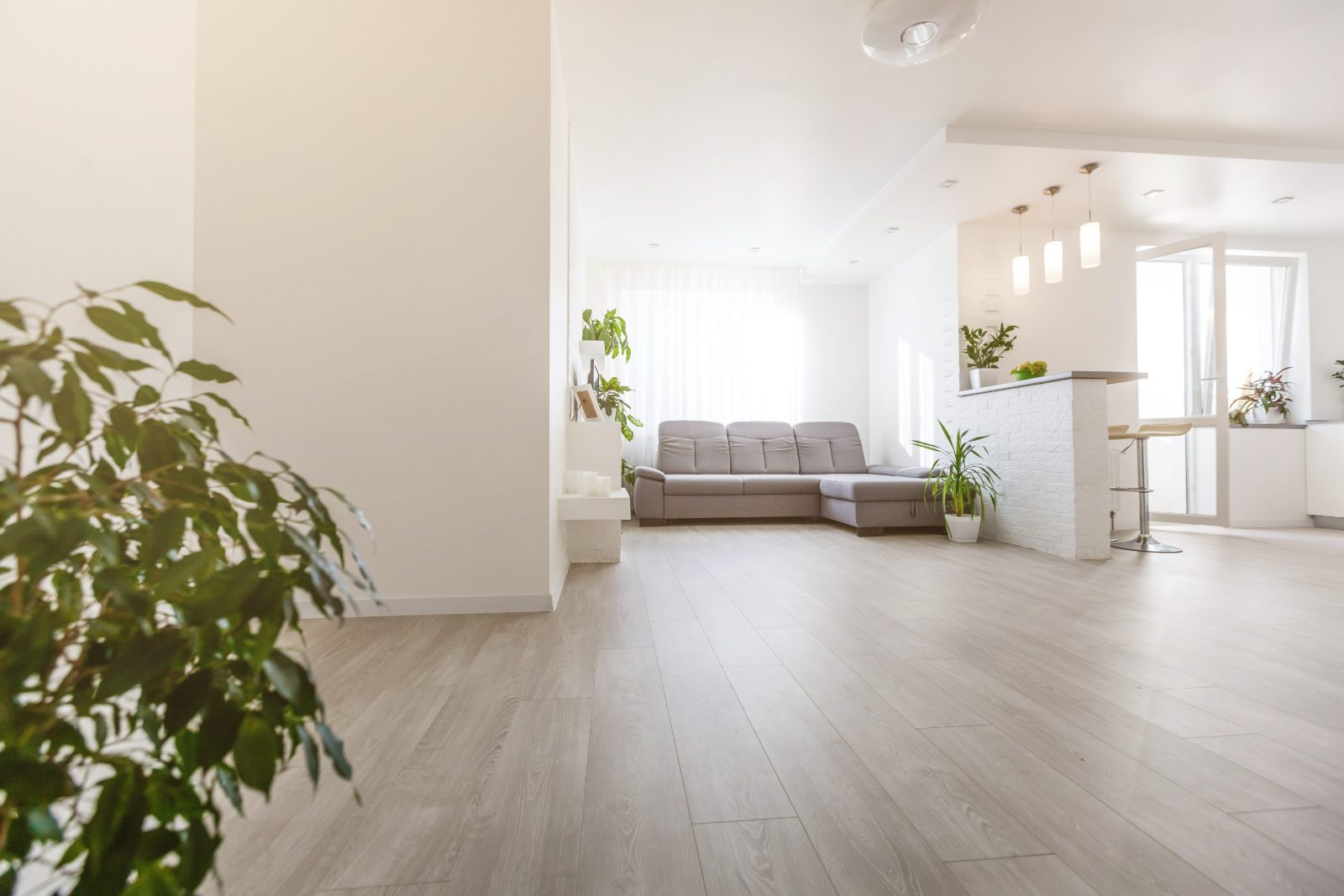 Rénovation complète